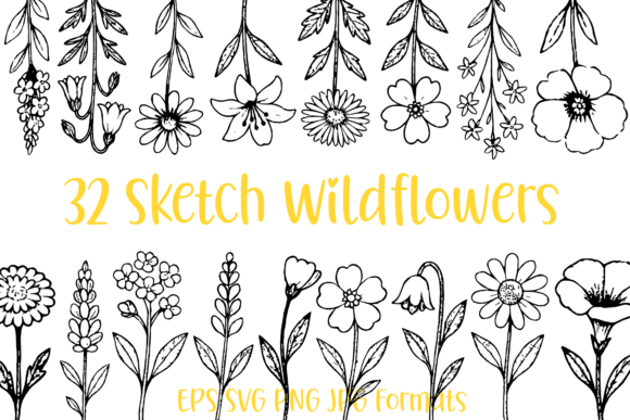 32 Wildflower Floral Sketch Illustrations for Your Projects